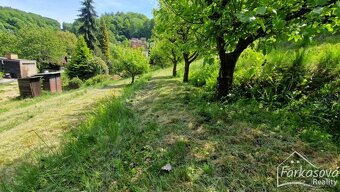 Chata s pozemkem v zahrádkářské kolonii v Albrechticích. - 9