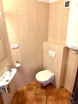 Pronájem 4kk, 1.patro, terasa, parkovací místo - 9