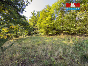 Prodej lesa, 1.757 m², Podhrad, Cheb - 9