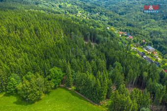 Prodej lesa, 6696 m², Tanvald - 9