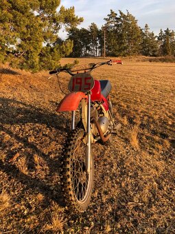 Jawa Čz 250 Cross - 9