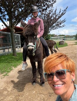 OSEL OSLÍK OSLÍČEK - 9