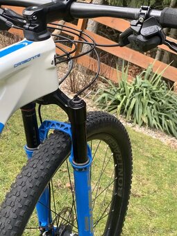 Head Adapt Edge Team - 9