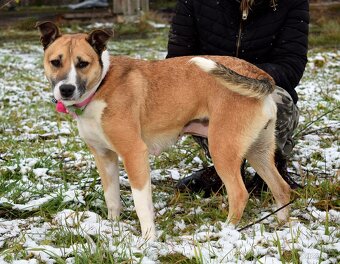 FLAVIA K ADOPCI - 2 ROKY, USMĚVAVÁ, KAMARÁDSKÁ - 9