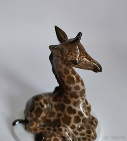 Starožitná porcelánová figurka žirafy - ROSENTHAL - 9