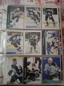 Hokejové kartičky - 9
