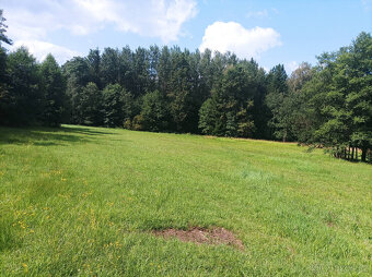 Zemědělská půda Popelín - Jindřichův Hradec - 9