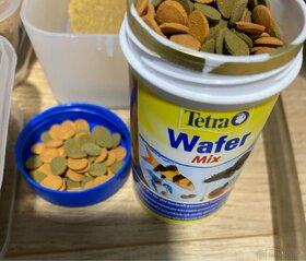 Cat-Gato akvárium Pacific 60 x 30 x 30 cm + výbava dekorace - 9