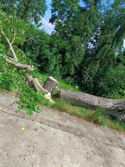 Uděláme vše co potřebujete - 9