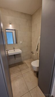 NOVOSTAVBA 1+KK Chrudim, Podkopanický Mlýn - 9