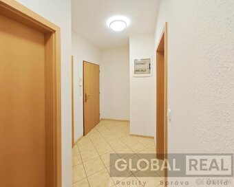 Pronájem prostorného bytu 1+kk (48 m2) v Lukách nad Jihlavou - 9