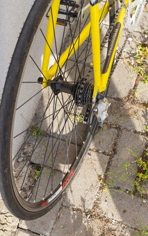 Silniční kolo Leader Fox Racing (62 cm, Shimano 105) - 9