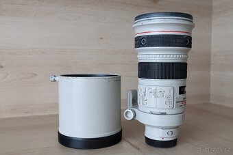 Canon EF 300mm f/2.8 L IS USM + Canon Extender EF 1.4x II - 9