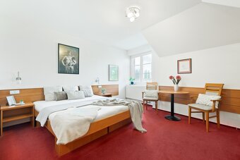 Prodej rodinný dům s penzionem, Nový Jičín, Pod Skalkou - 9