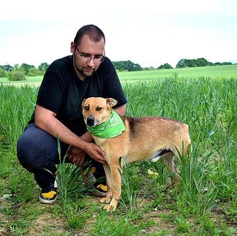 INKY K ADOOPCI - 2 ROKU,PŘÁTELSKÝ, KAMARÁD,VHODNÝ K SENIORŮM - 9