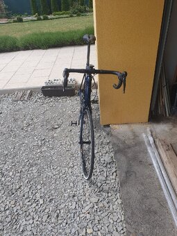 Silniční kolo Trek Domane AL 2 - blue/matte trek black - 9