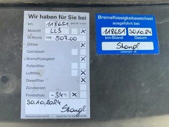 Volkswagen Transporter T6 4x4 - 9
