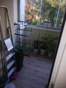 2+1 Prameny Karviná Ráj osobní vlastnictví - 9