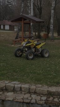 Bashan 250 - 9
