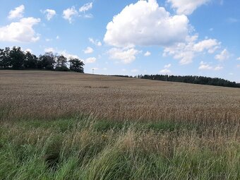 Stavební pozemek 1365m2 u přehrady Orlík - 9