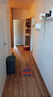 Prodej byty 2+1, 63 m2 - České Budějovice 3, ev.č. PP-7693 - 9