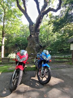Honda CBR 125R (2004) - 9