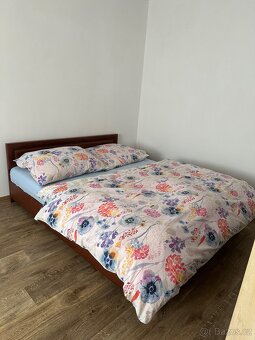 Dlouhodobý pronájem 1+1 Karlovy Vary - 9