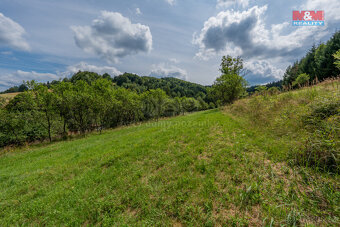 Prodej louky, 1784 m², Halenkov - 9