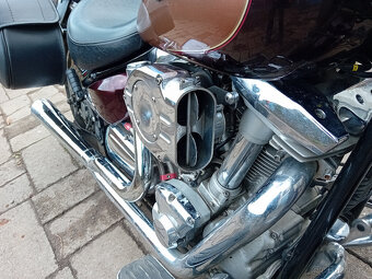 Yamaha XV 1600 WildStar - 9