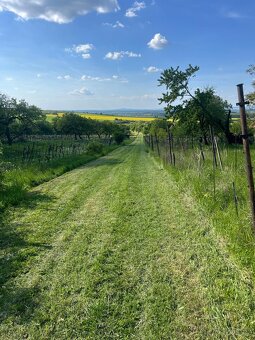 Údržba zeleně - 9