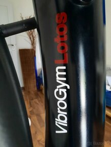 Prodám VibroGym inSPORTline Lotos černý - 9