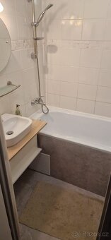 Podnájem byt 2+1 - 9