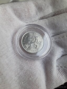 5 haliernik 1955 - 9