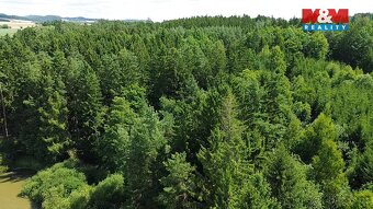 Prodej lesa, 5323 m², Opařany - 9