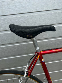 Olmo la Biciclissima - 9
