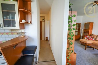 Pronájem bytu 2+1, 58 m² – Brno, ul. Tábor (Žabovřesky) - 9