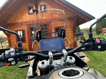 Triumph Tiger Rally 900Pro - 9