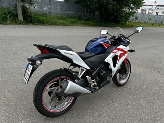 Honda Cbr 250r 2012 - 9