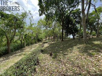 Lot 3 Bodden Bight Estate Jonesville, Roatan - 9