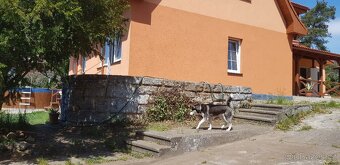 prodám RD s možností provozování jako rodinný pension - 9