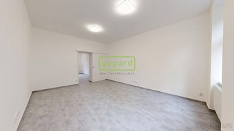 Investiční příležitost, 2kk, cihla, po rekonstrukci v centru - 9