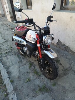 Honda Monkey 125 - 9