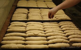 PROFI ČESKÝ ROHLÍKOVAČ TOPOS - 9