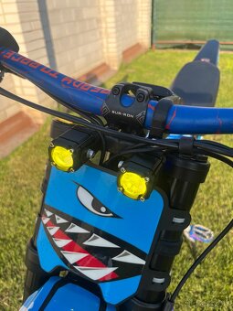 SURRON light bee x - 9