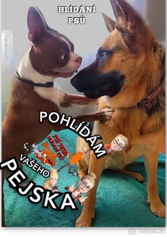Pohlidám vašeho pejska. Plzeň - 9
