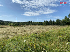 Prodej pozemku, 4000 m² v Kalku - Načetín - 9