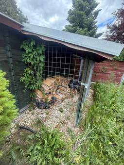 Prodám pěkný zahradní domek s okny a verandou - 9
