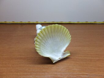 Retro dekorace s pravého mořského korálu a mušlí. - 9