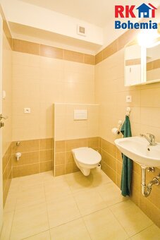 Pronájem bytu 1+kk s parkovacím stáním v Českém Brodě, nedal - 9
