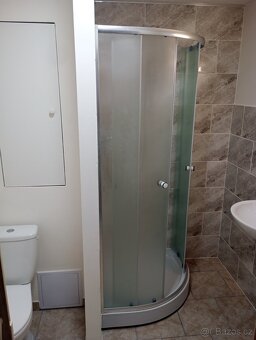 Pronájem bytu 2 kk - 9